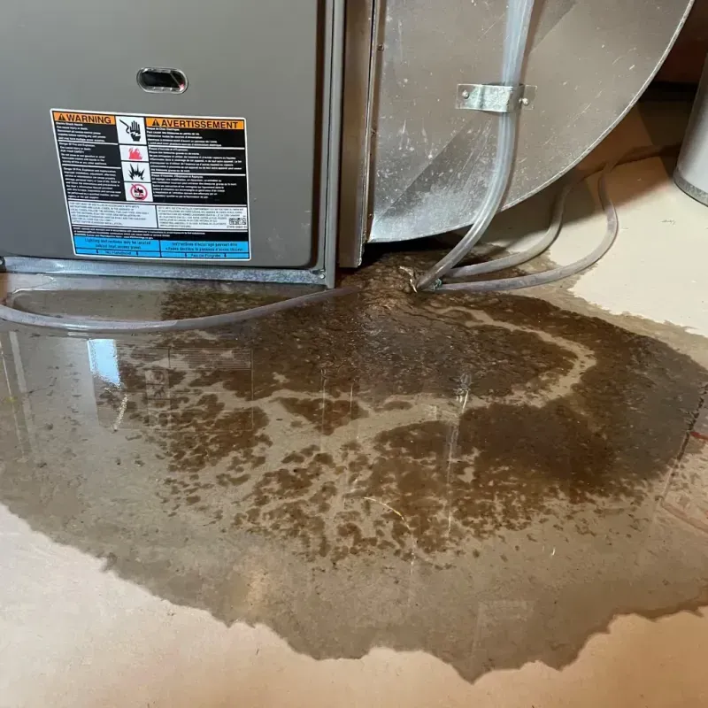 Appliance Leak Cleanup in Waskom, TX